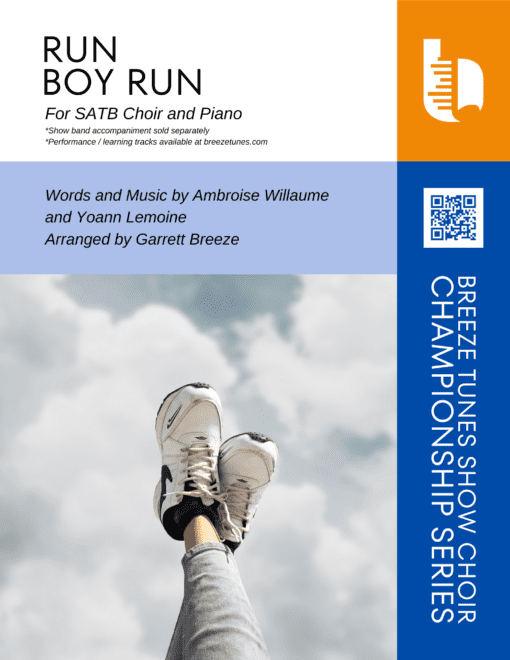 RUN BOY RUN COVER PAGE