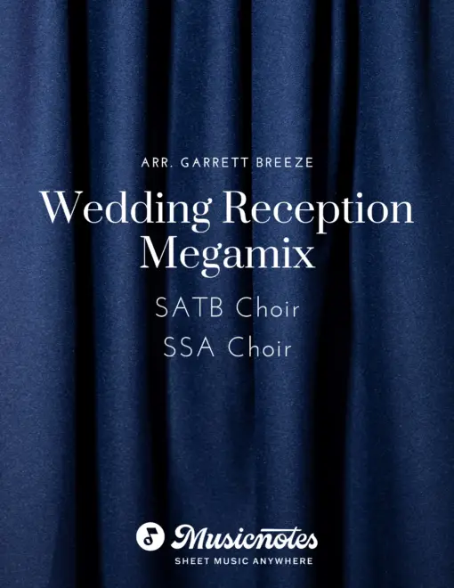 Wedding Reception Cover